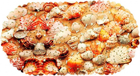Коврик на присосках ФОТО"Ракушки" 69*36